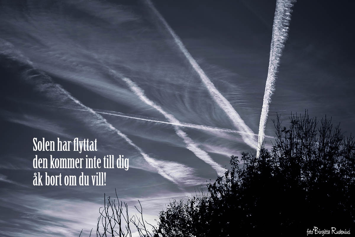 #haiku #haiga - Crossroads