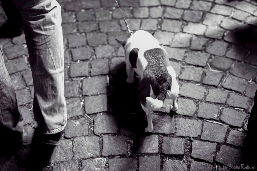 Following you for ever