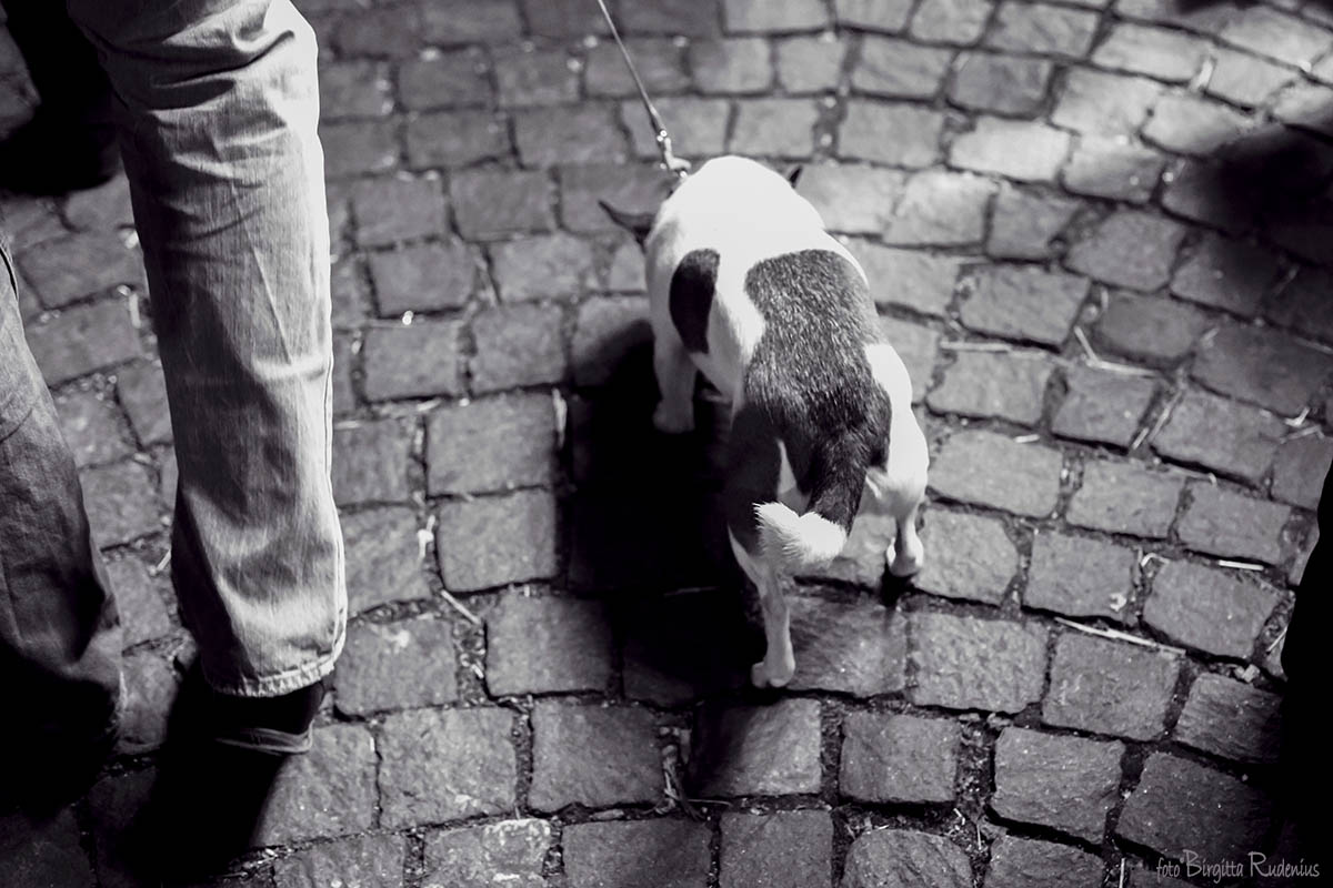 Following you for ever