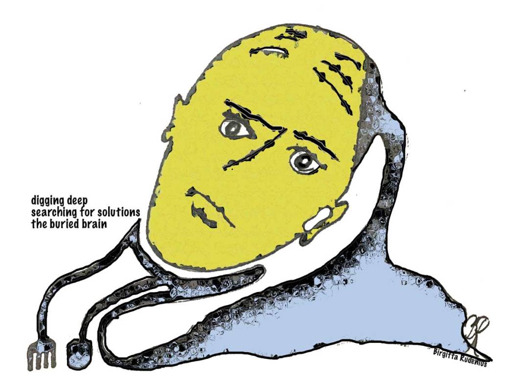 The buried brain by Birgitta Rudenius.