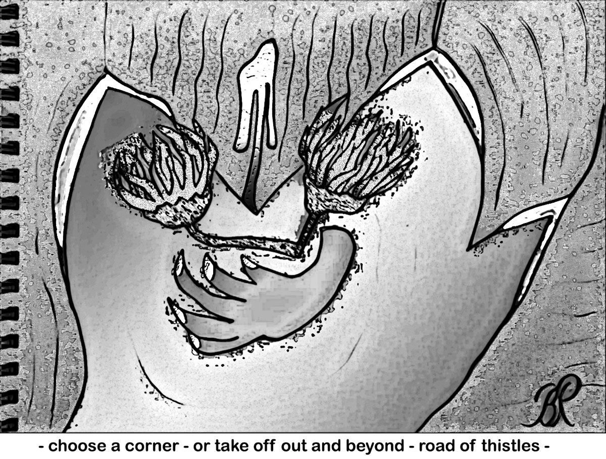 Pics and Poetry by Birgitta Rudenius