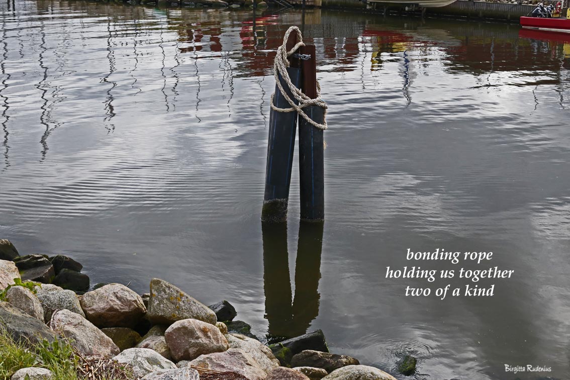 #haiku #haiga © Birgitta Rudenius