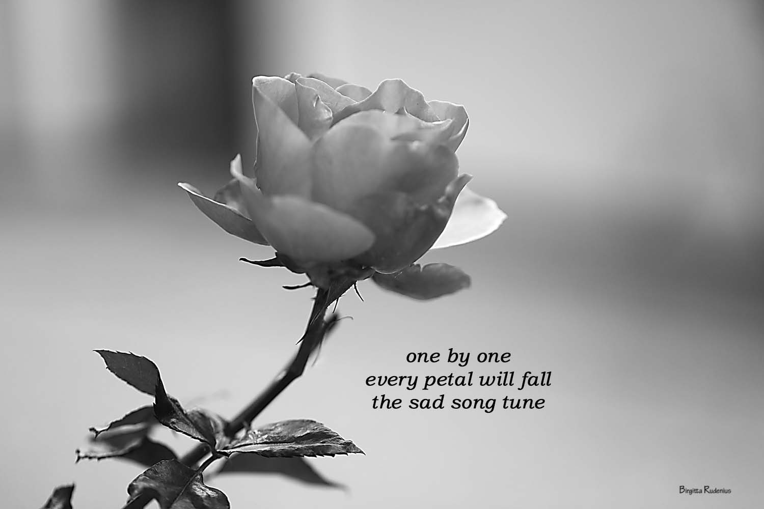 Pics & Poetry © Birgitta Rudenius