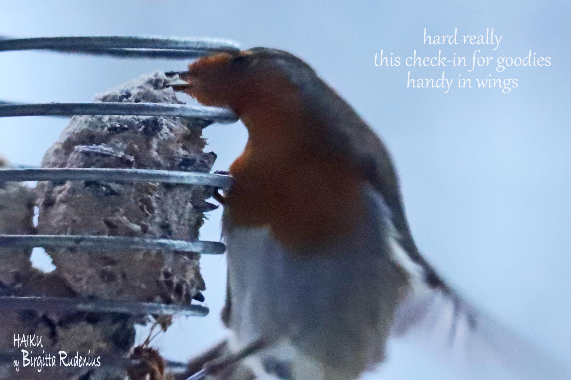 Pics & Poetry © Birgitta Rudenius