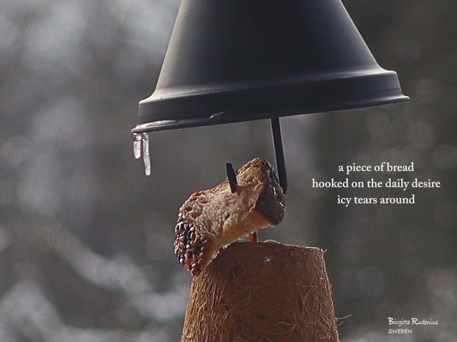 Pics & Poetry © Birgitta Rudenius