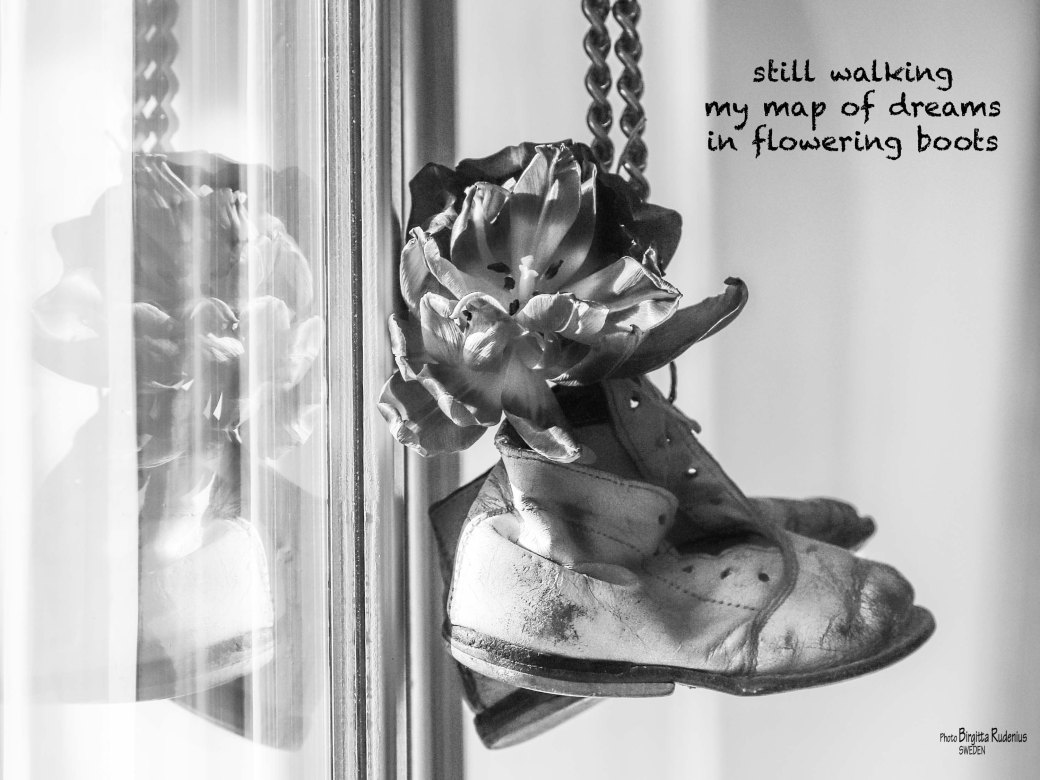 Pics &amp; Poetry © Birgitta Rudenius