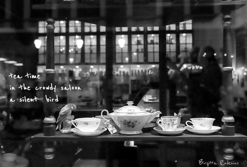 picsandpoetry.com ©BirgittaRudenius