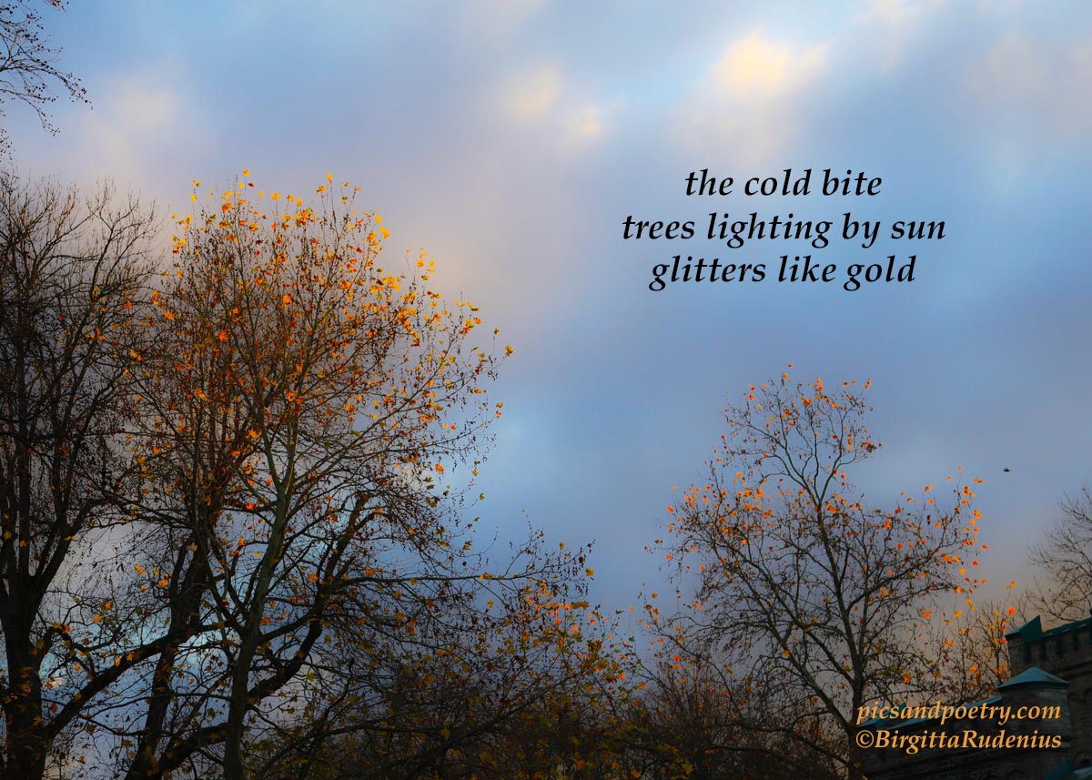 picsandpoetry.com ©BirgittaRudenius