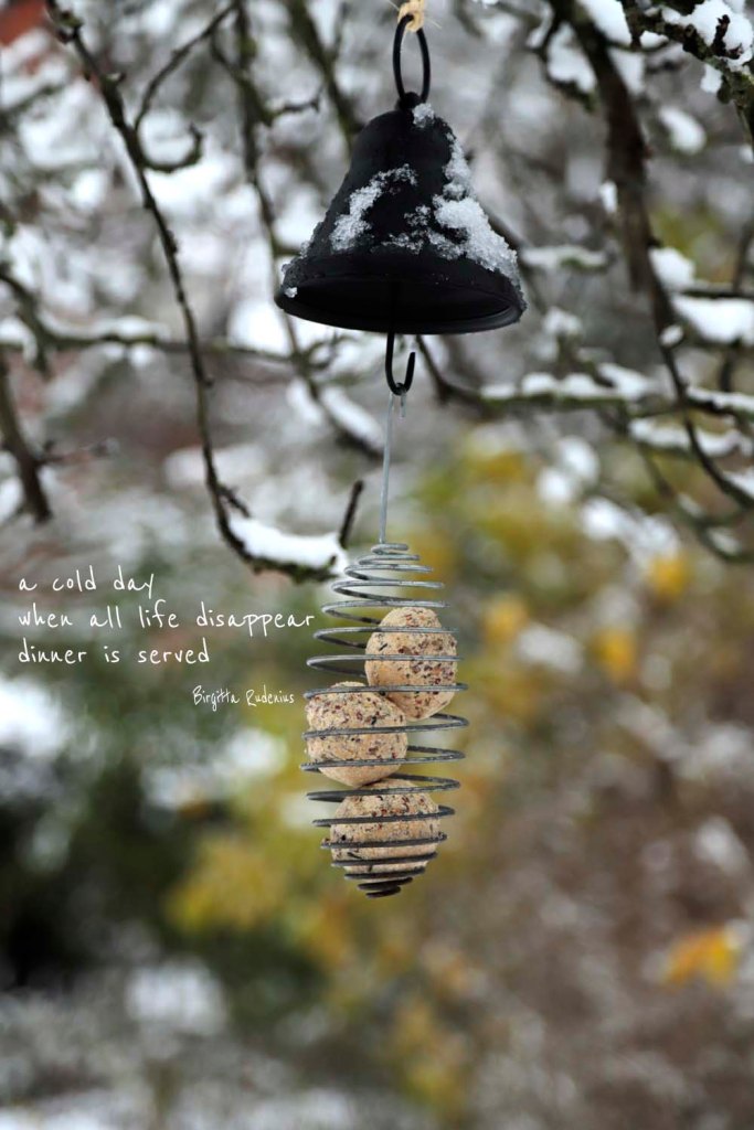 picsandpoetry.com ©BirgittaRudenius