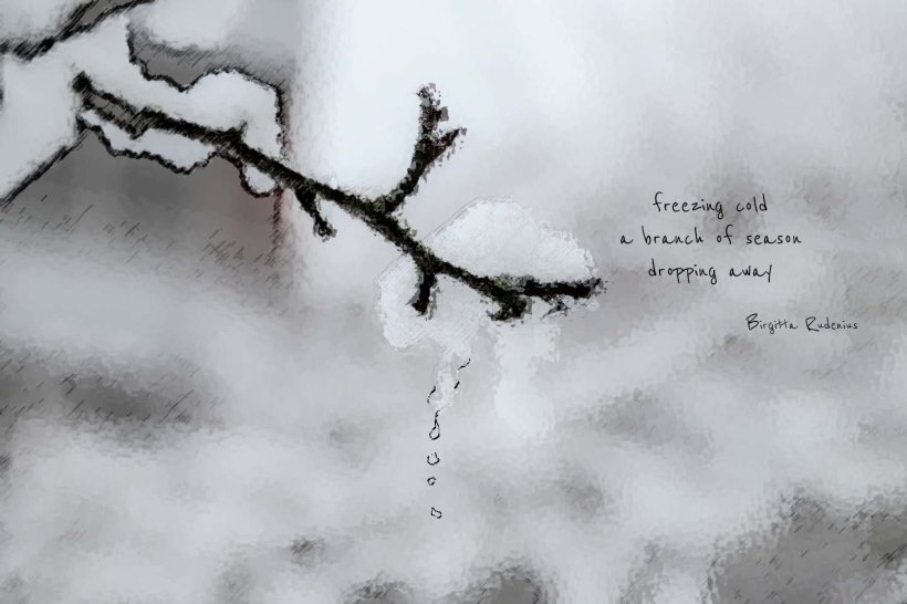 picsandpoetry.com ©BirgittaRudenius