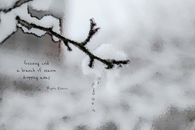 picsandpoetry.com ©BirgittaRudenius