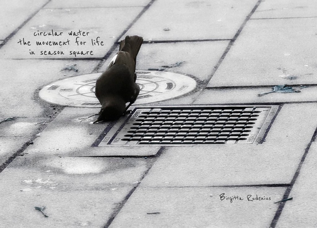 picsandpoetry.com ©BirgittaRudenius