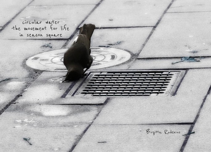 picsandpoetry.com ©BirgittaRudenius