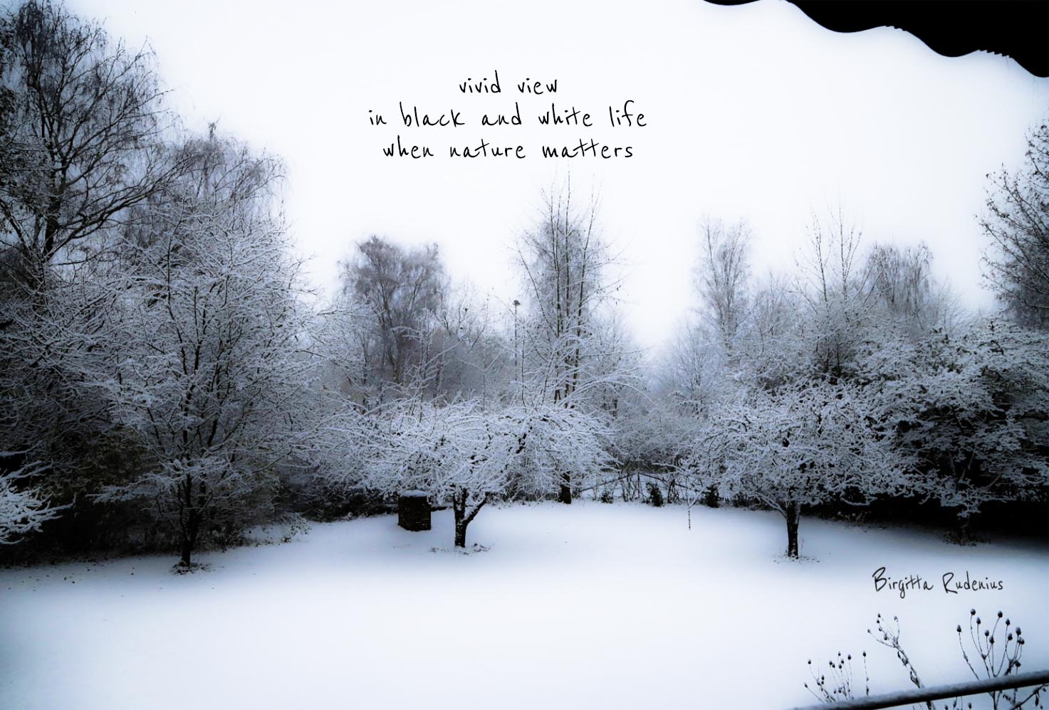 picsandpoetry.com ©BirgittaRudenius