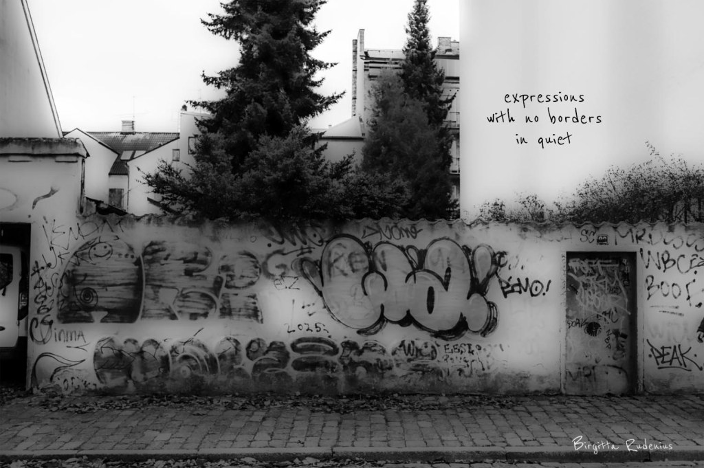 picsandpoetry.com ©BirgittaRudenius