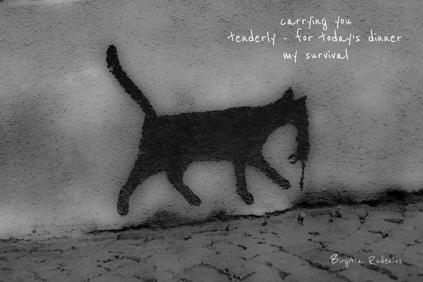 picsandpoetry.com ©BirgittaRudenius