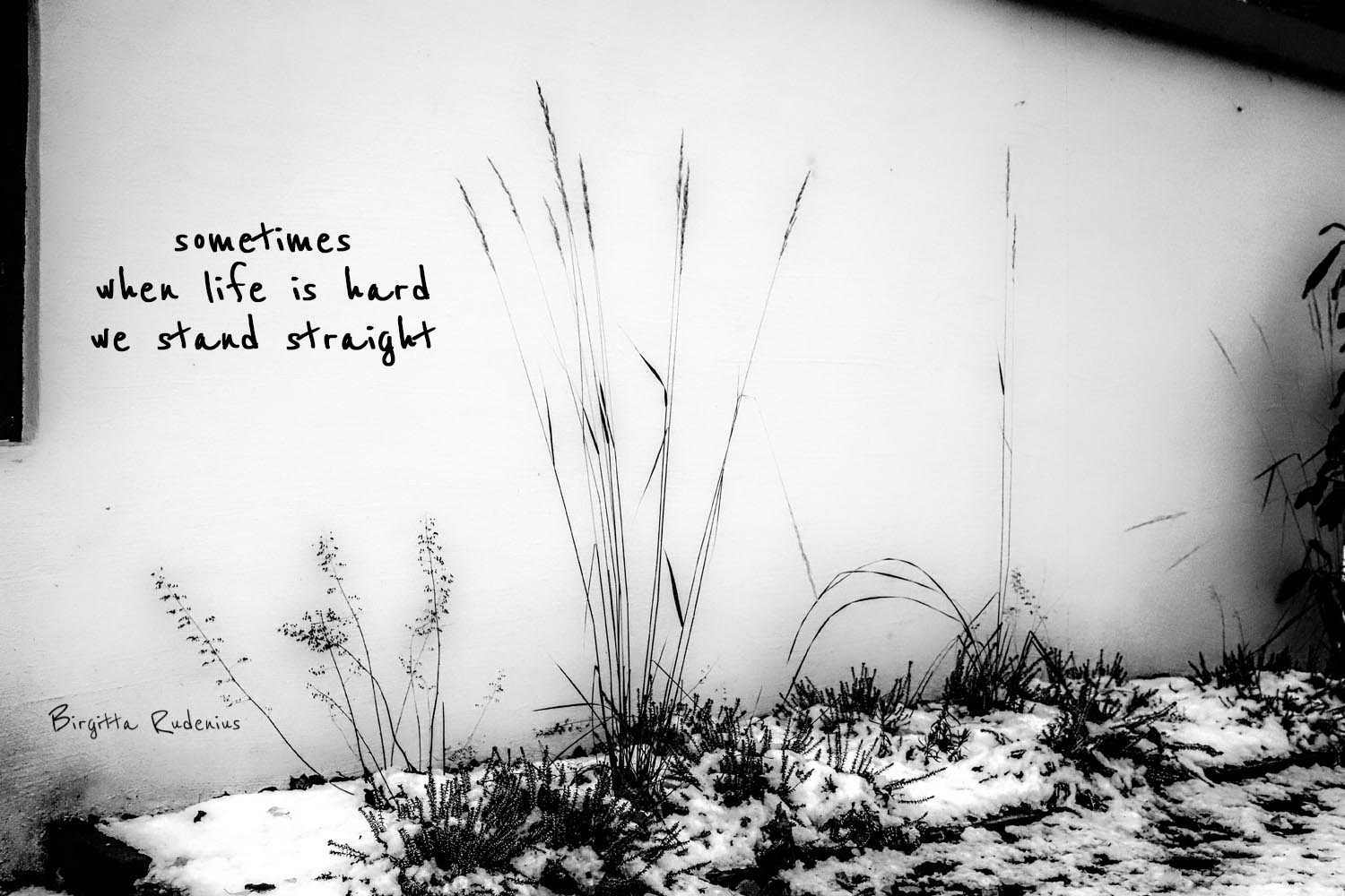 picsandpoetry.com ©BirgittaRudenius