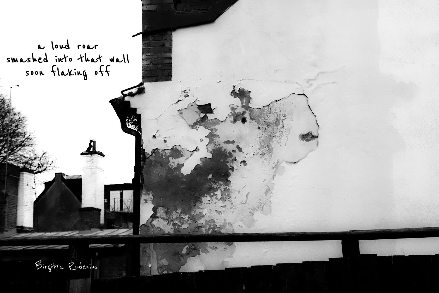 picsandpoetry.com ©BirgittaRudenius