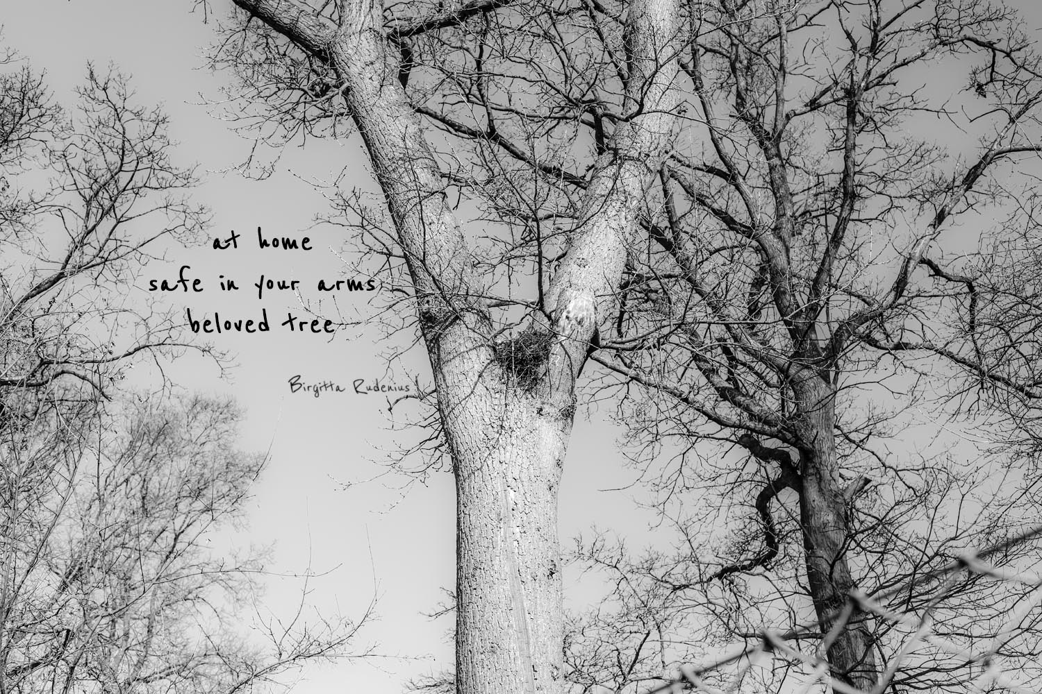 poetry by ©BirgittaRudenius