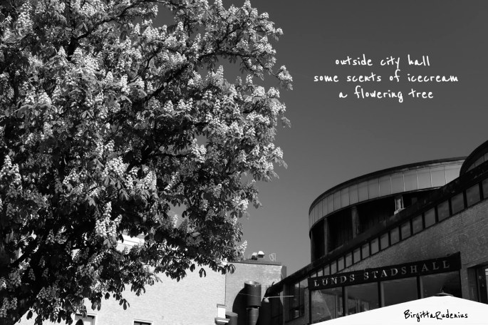 Pics and Poetry ©BirgittaRudenius