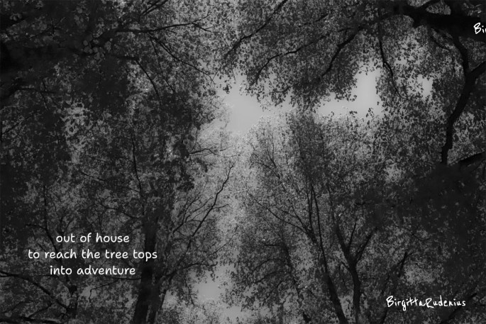 Pics and Poetry ©BirgittaRudenius