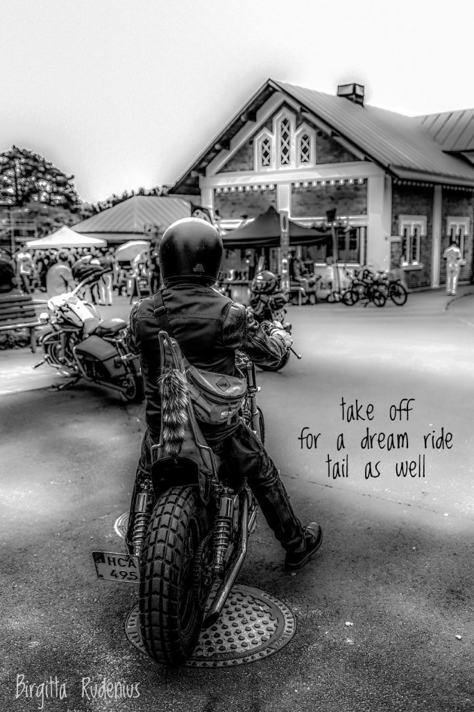 Pics and Poetry ©BirgittaRudenius